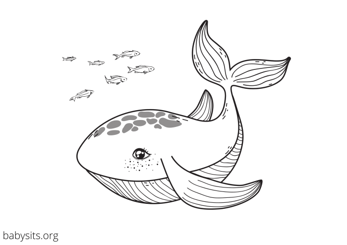 Free printable ocean animal coloring pages