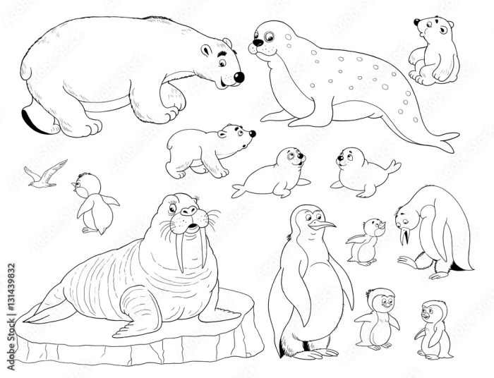 Free coloring pages arctic animals