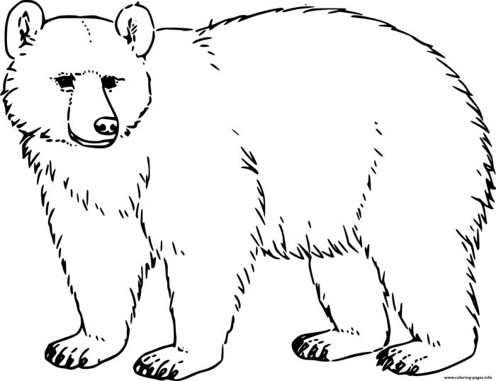 Black bear coloring book