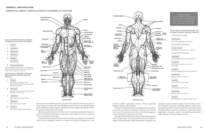 Borrow the anatomy coloring book