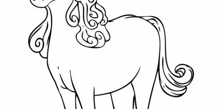 Fluffy animated animals coloring sheets