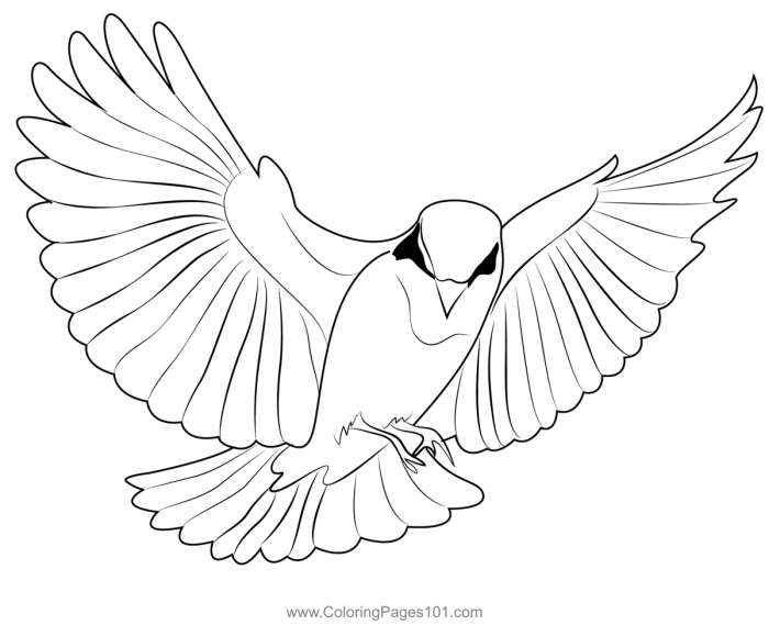 Flying animals coloring page