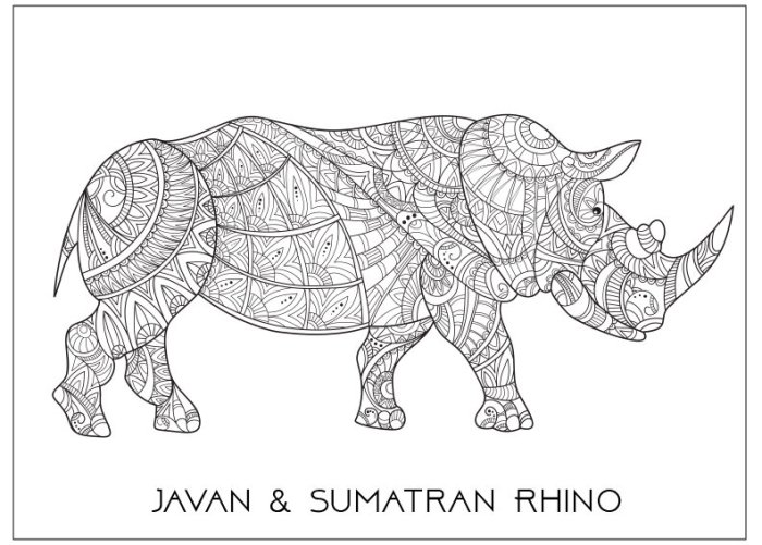 Endangered animals coloring book