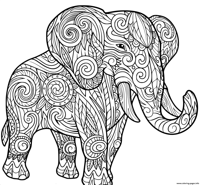 Detailed animal coloring page