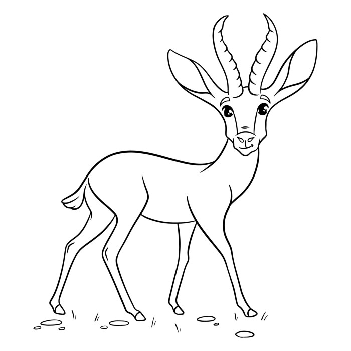 Gazelle coloring pages