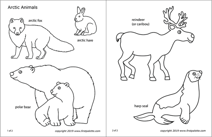 Free coloring pages arctic animals