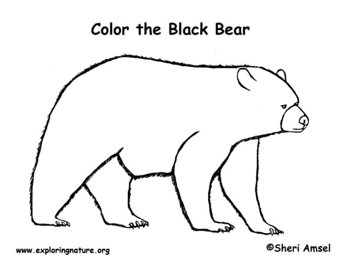 Black bear coloring book