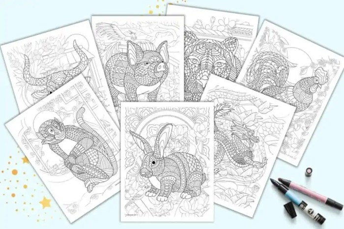 Chinese zodiac coloring book