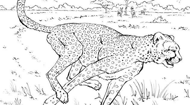 Cutting animal from paper coloring page