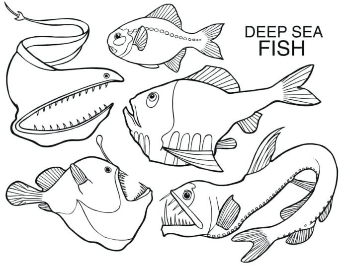 Sea deep coloring pages creatures creature templates fish animal color printable kids clipart getcolorings library getdrawings popular kristin hill