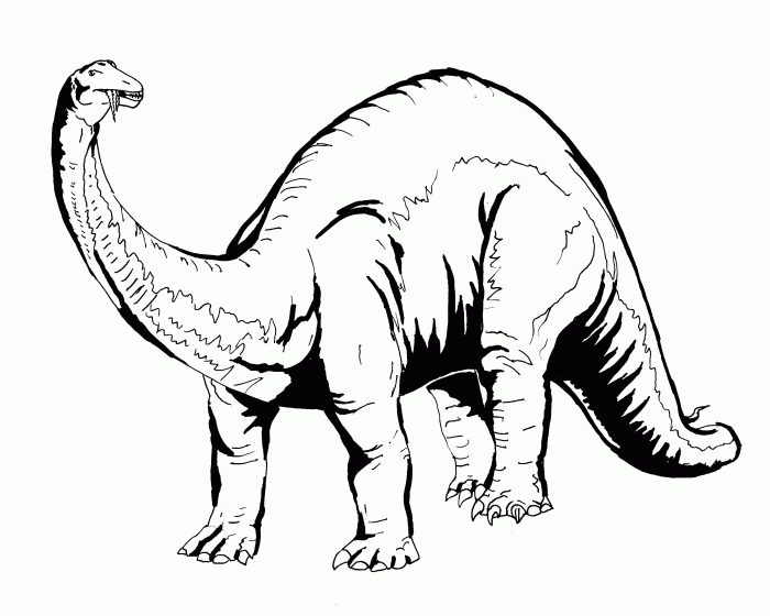 Animal coloring pages dinosaur