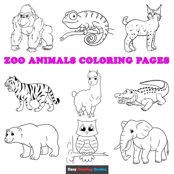 Crayola free coloring pages animals