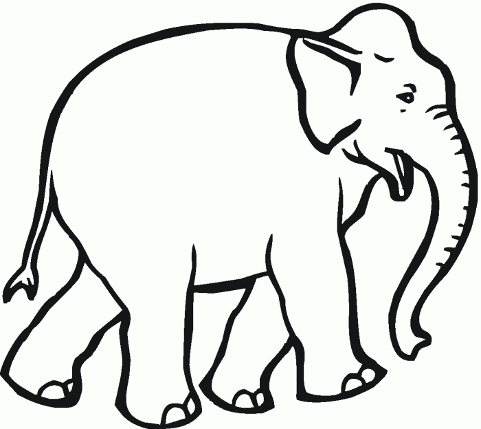 Elephant animal coloring page