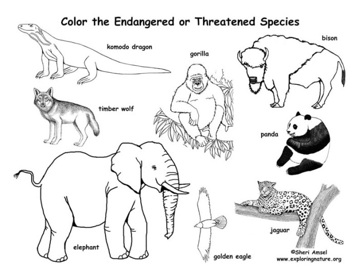 Endangered animal coloring pages