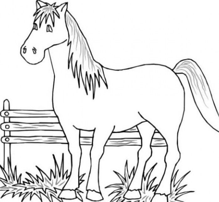 Farm animal coloring pages free