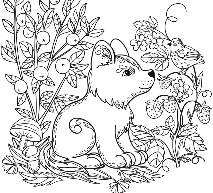 Coloring pages animals printable cute popular