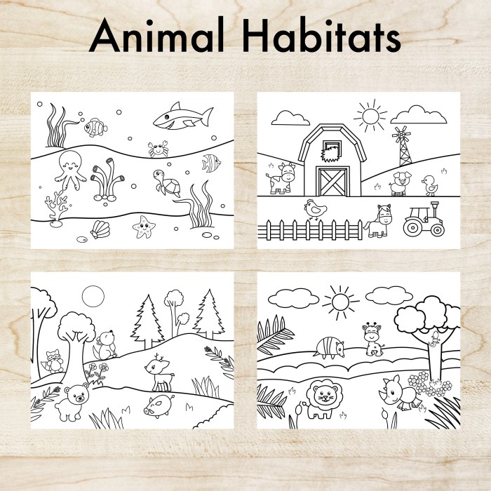 Coloring pages animal habitats