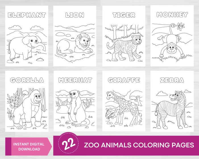 Coloring pages animal habitats