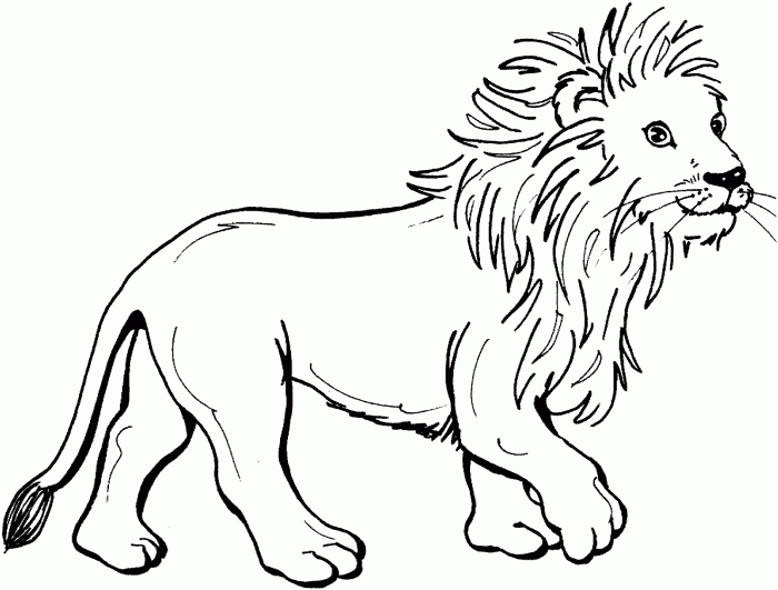 Fun animal coloring pages lion