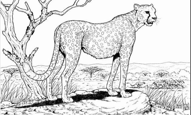 Cute coloring pages of animals of cheatas