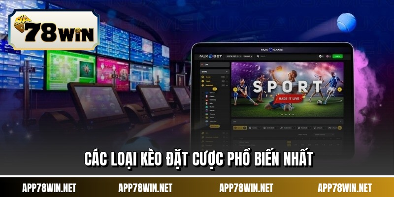 Các loại kèo đặt cược phổ biến nhất